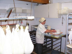 Flipping Bloomy Rind cheeses