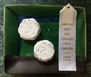 River Rock - award winning cheese